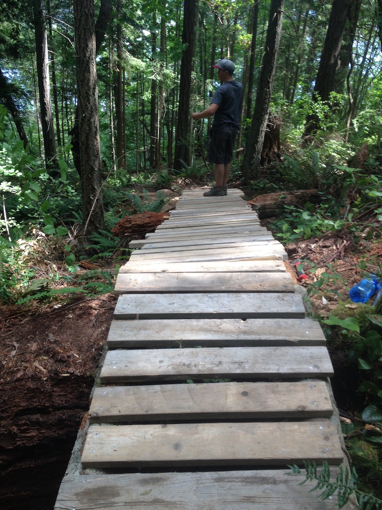 Almost done the bridge on our dh trail