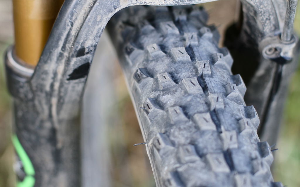 Vittoria Barzo Tire Review Pinkbike