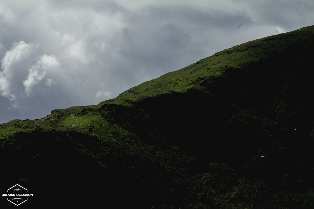 Green, green everywhere.