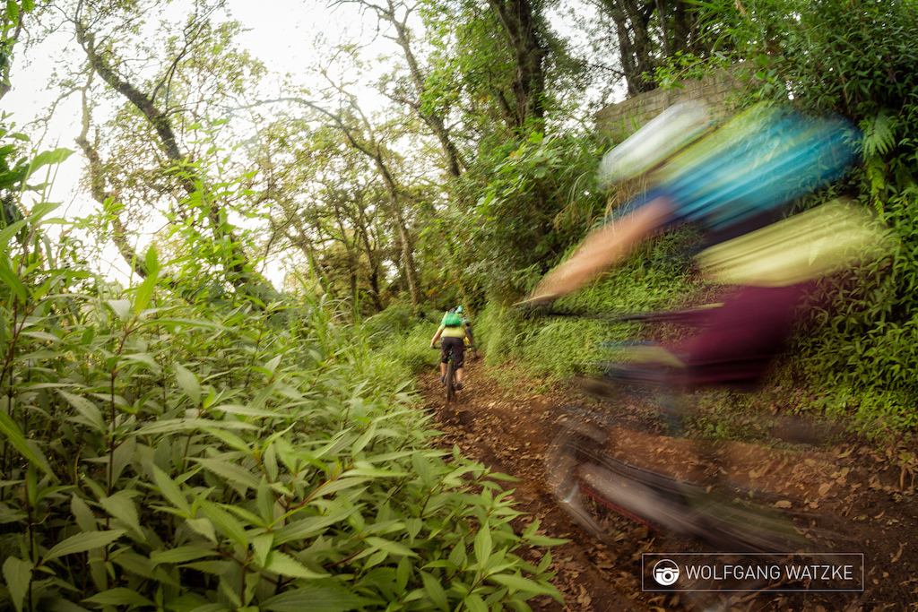 Biking in Surfers’ Paradise