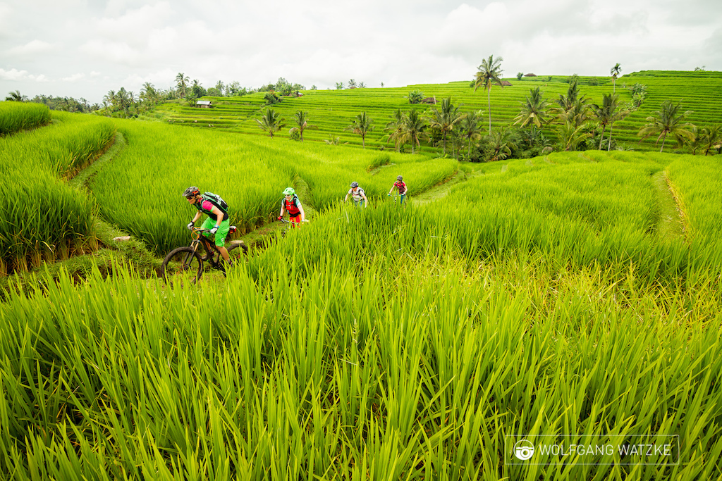 Biking in Surfers’ Paradise