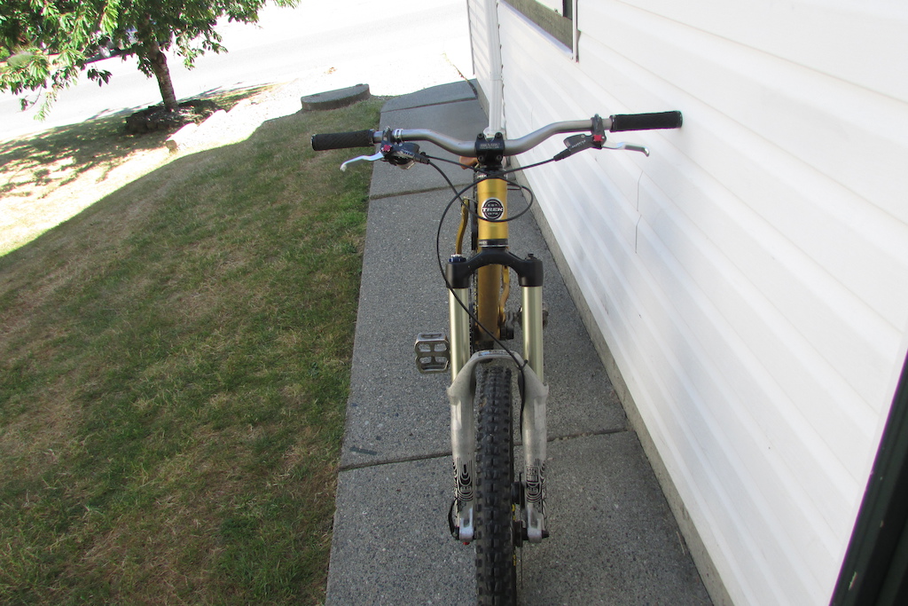 2007 Trek Session 77