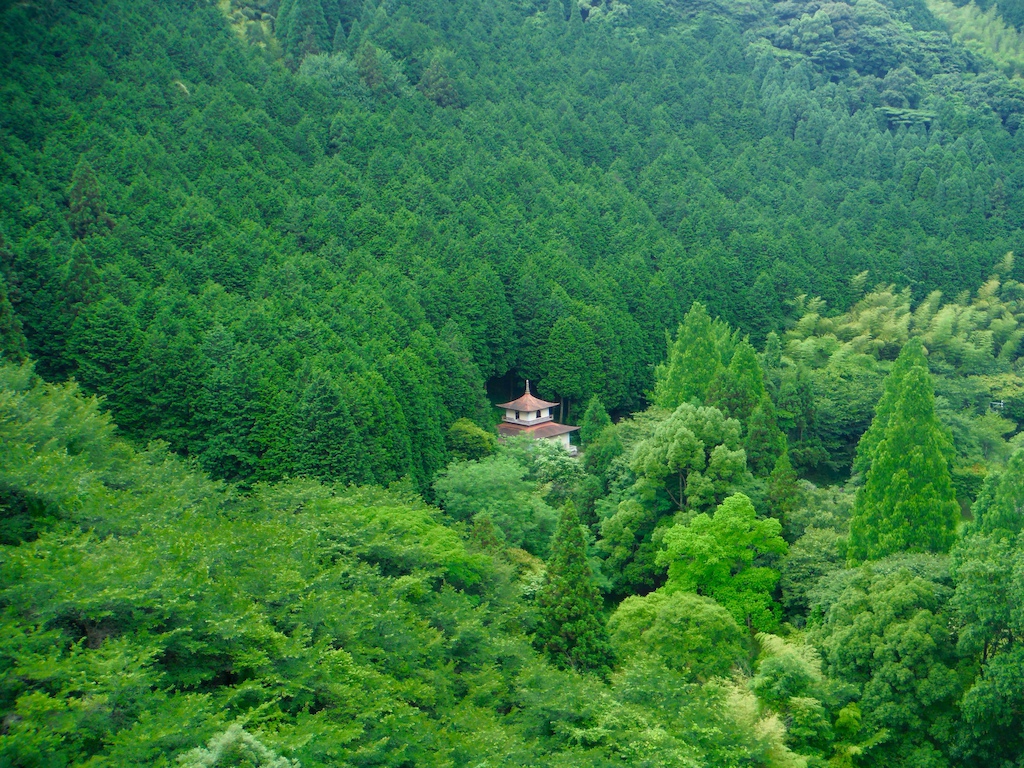 Buddhist temple in the deep forest.