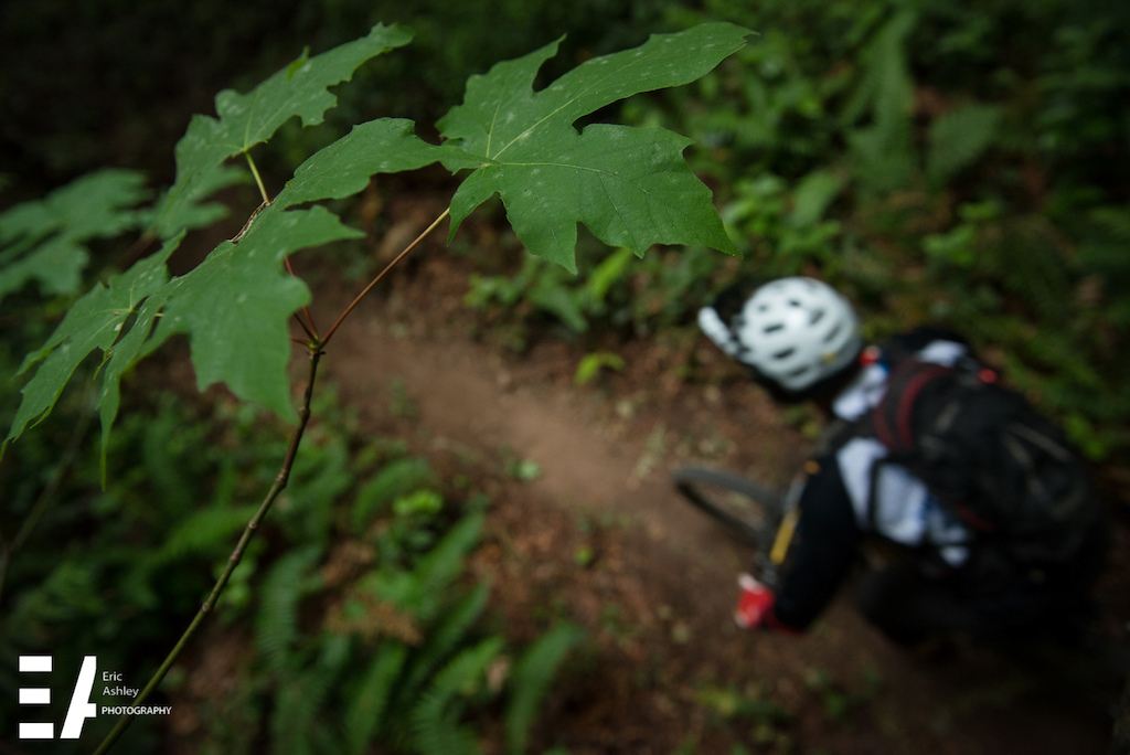 Cascadia National Enduro Championship 2015