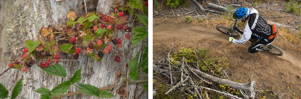 Cascadia National Enduro Championship 2015