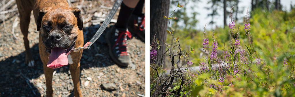 Cascadia National Enduro Championship 2015