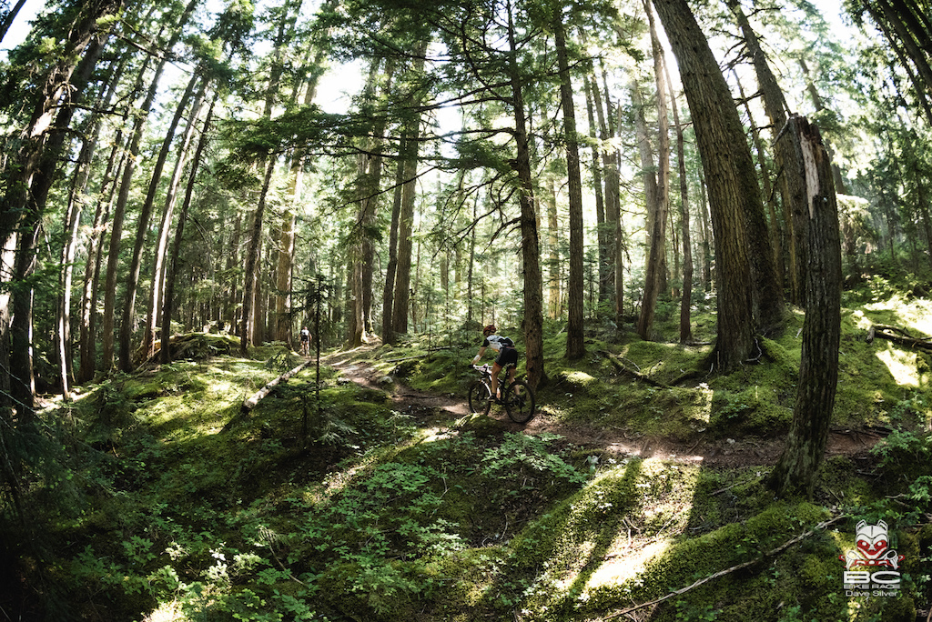 Deep loam in the deep forests provide an exceptional experience for all the riders!