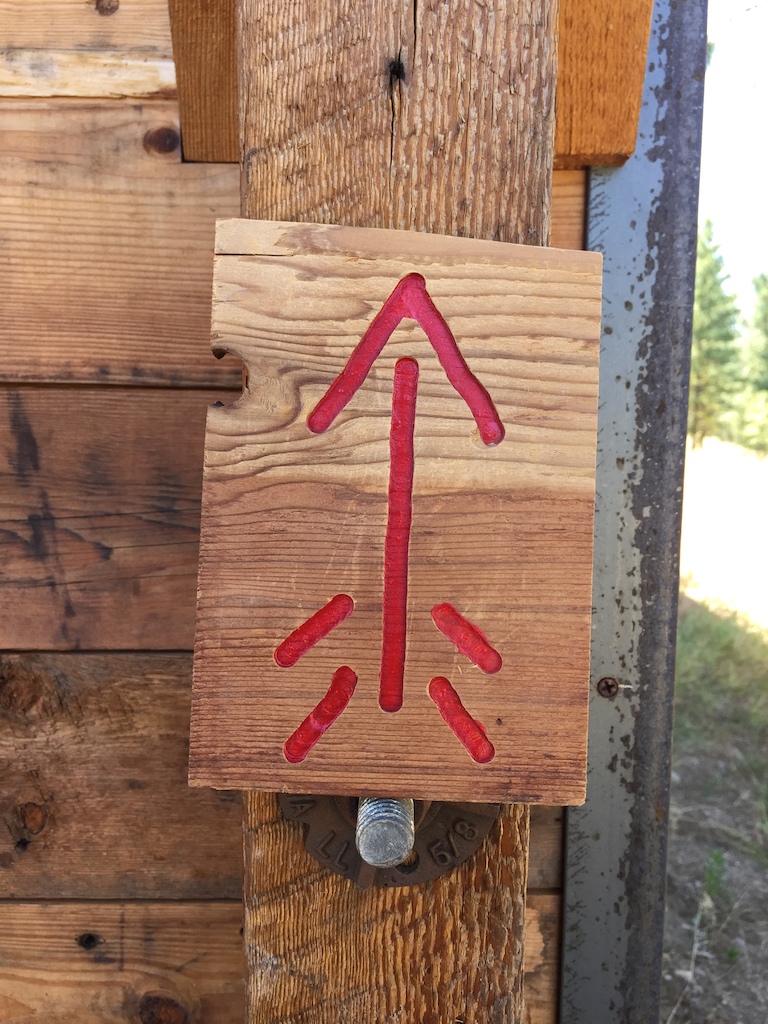 Arrow trail sign, I make them, and sign trails with them....