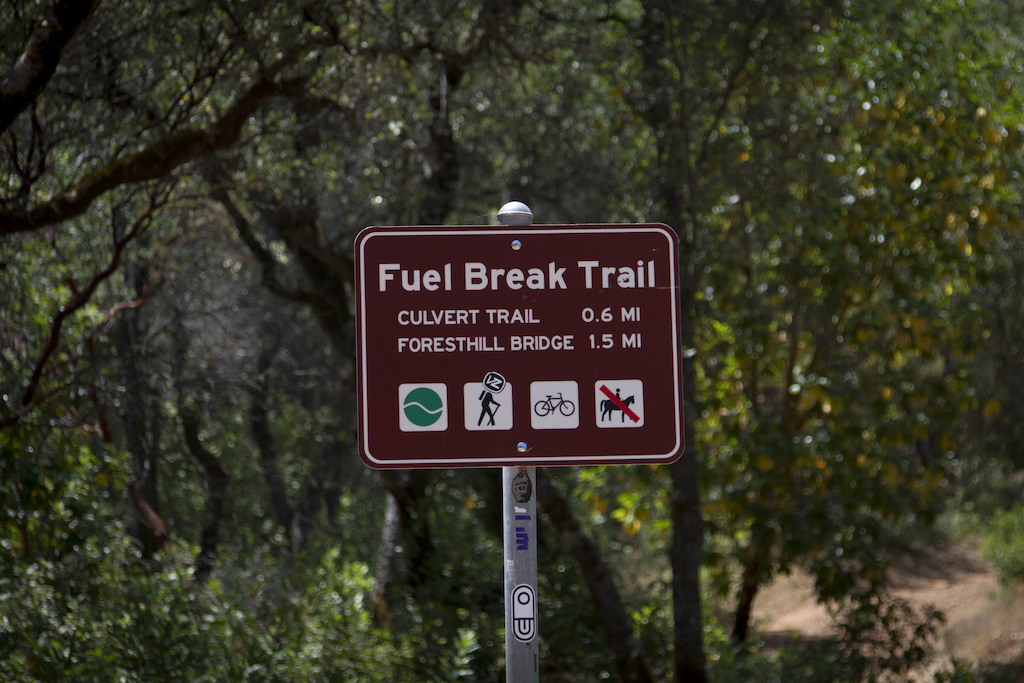Fuel Break to Culvert Trail