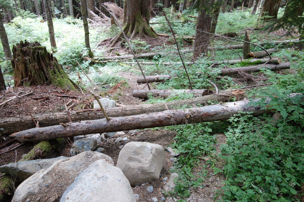 Heads up - some random trail debris including chainsawed woods and rocks laid and placed at top of Squeaky Elbow on Fromme around July 2, 2015. Rest of trail cleared by myself on July 8. Debris still there today july 15, 2015. Thanks to Trailforks.com for being a good place to log trail reports.

Hopefully whoever did this is done for the year but be wary when going down this or other neighbouring trails in the upper Fromme area