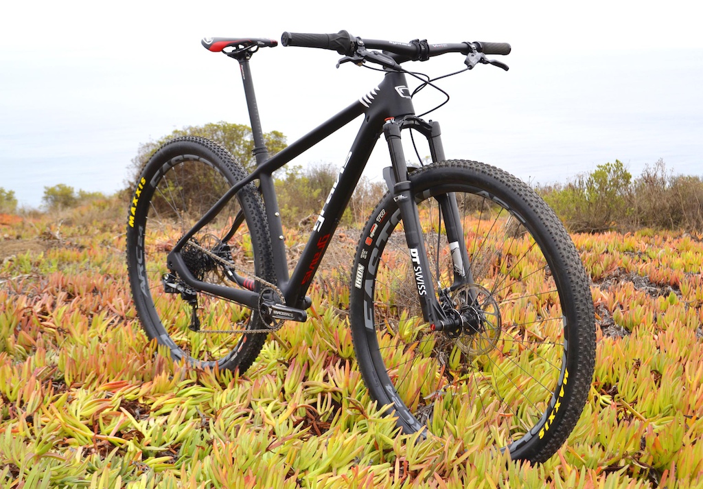 dt swiss fork 29er
