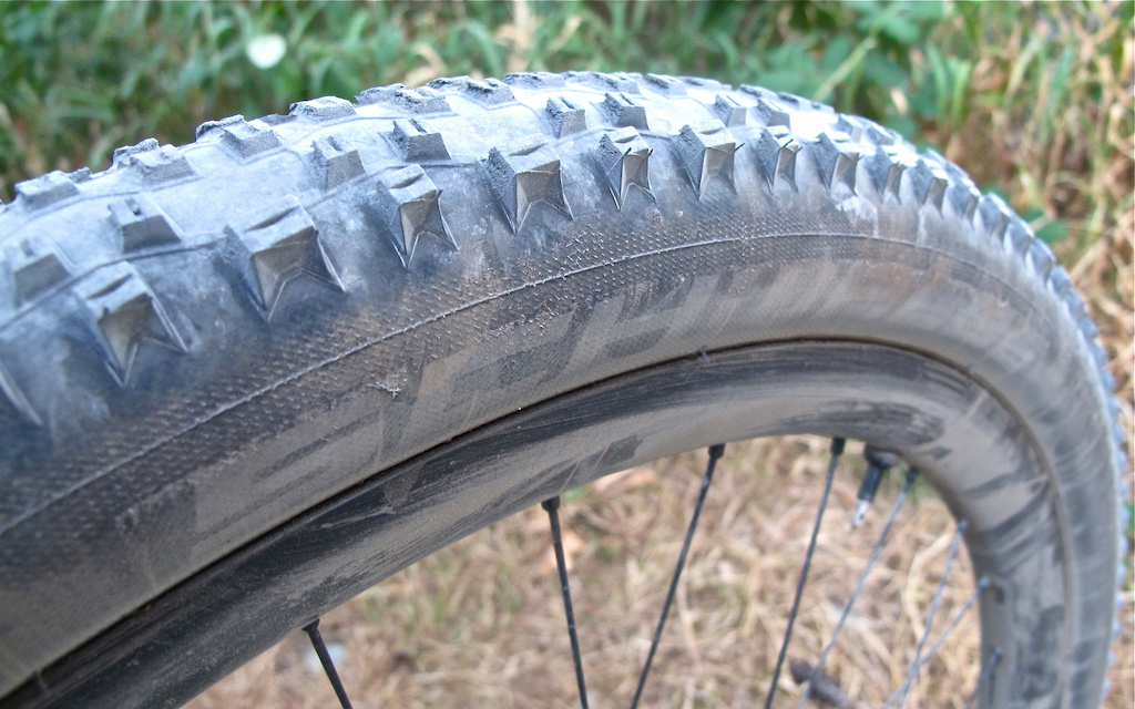 Schwalbe Racing Ralph Review Pinkbike