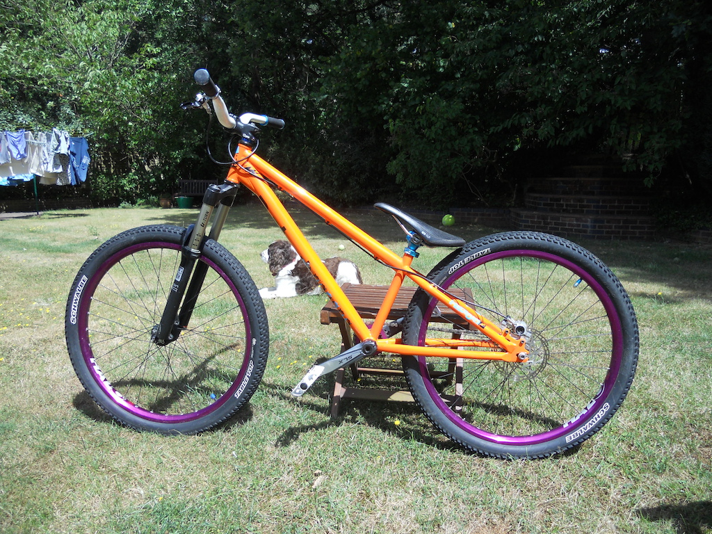 2013 Custom DMR Reptoid Jump Bike 26