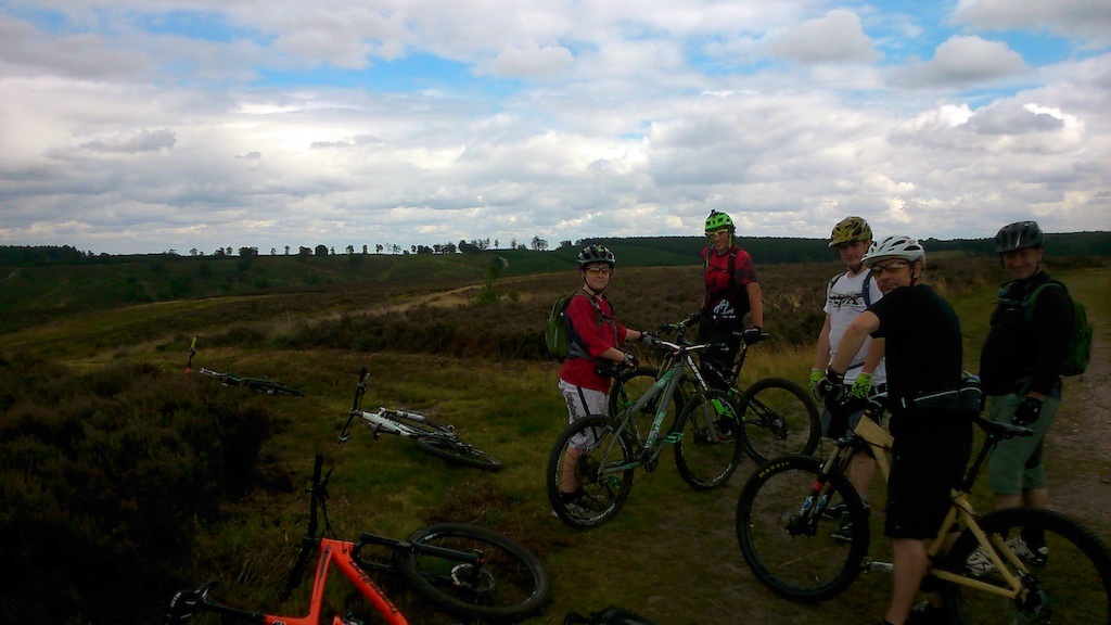 Cannock chase on a warm changeable afternoon