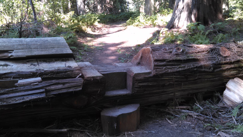 Cedar  Log Step