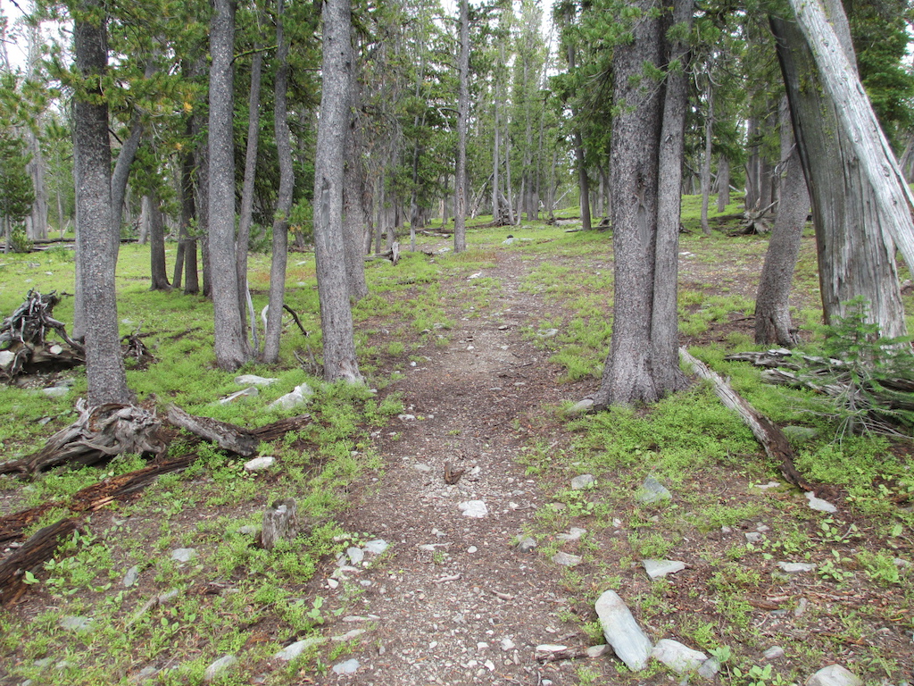 Higher section of trail near Park Creek Divide.