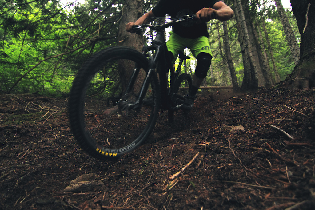 Flying dirt isn't an unusual sight on this loam laden trail