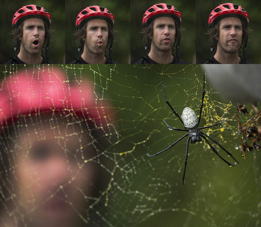 Cam McCaul doesn't like large spiders