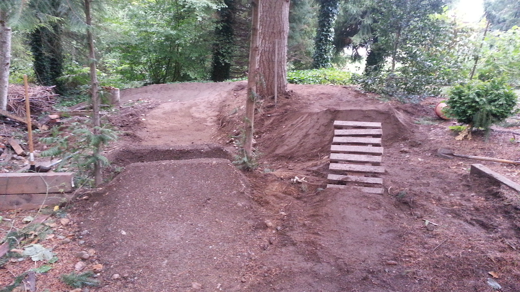 New upper part of my yard trails, a bit smaller but way more flow, and two lines now with the sketchy boner log!
