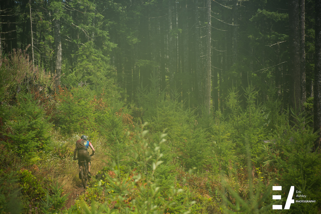Cascadia Dirt Cup Round Four Capitol Forest Classic 2015