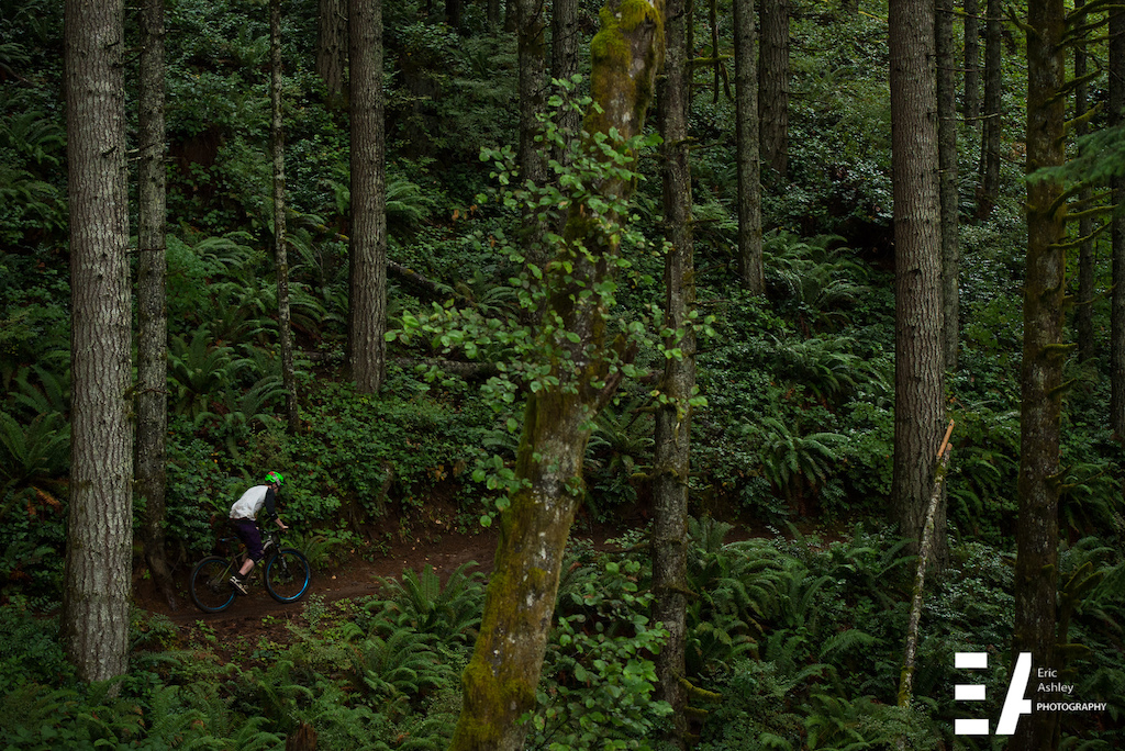 Cascadia Dirt Cup Round Four Capitol Forest Classic 2015