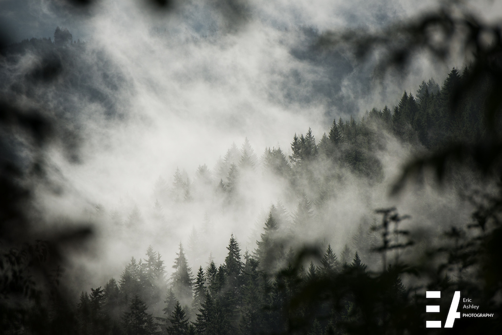 Cascadia Dirt Cup Round Four Capitol Forest Classic 2015