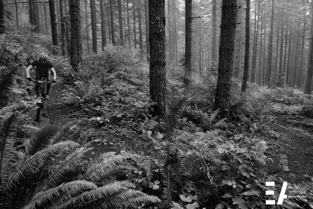 Cascadia Dirt Cup Round Four Capitol Forest Classic 2015