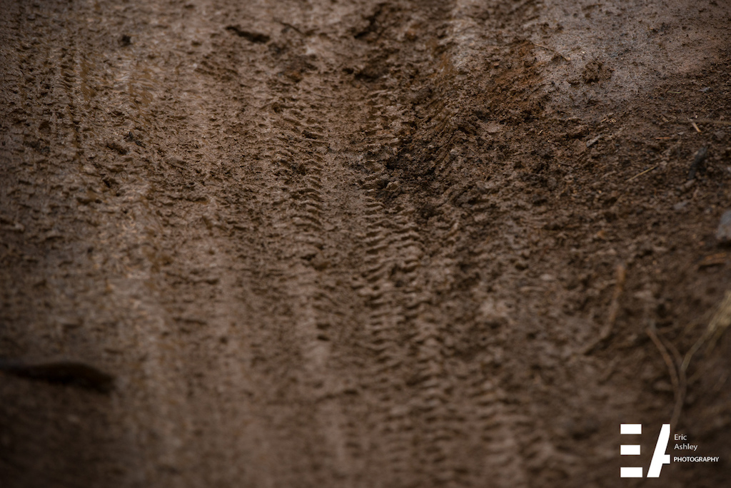 Cascadia Dirt Cup Round Four Capitol Forest Classic 2015