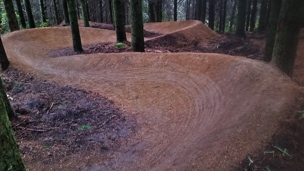 just a new trail we making in tokoroa. to keep up with the lastest fellow me on instagram https://instagram.com/demo4life/