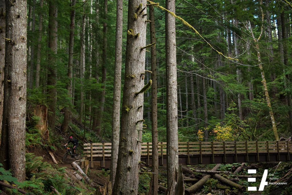 Cascadia Dirt Cup Finals 2015 Tiger Mountain Issaquah WA.