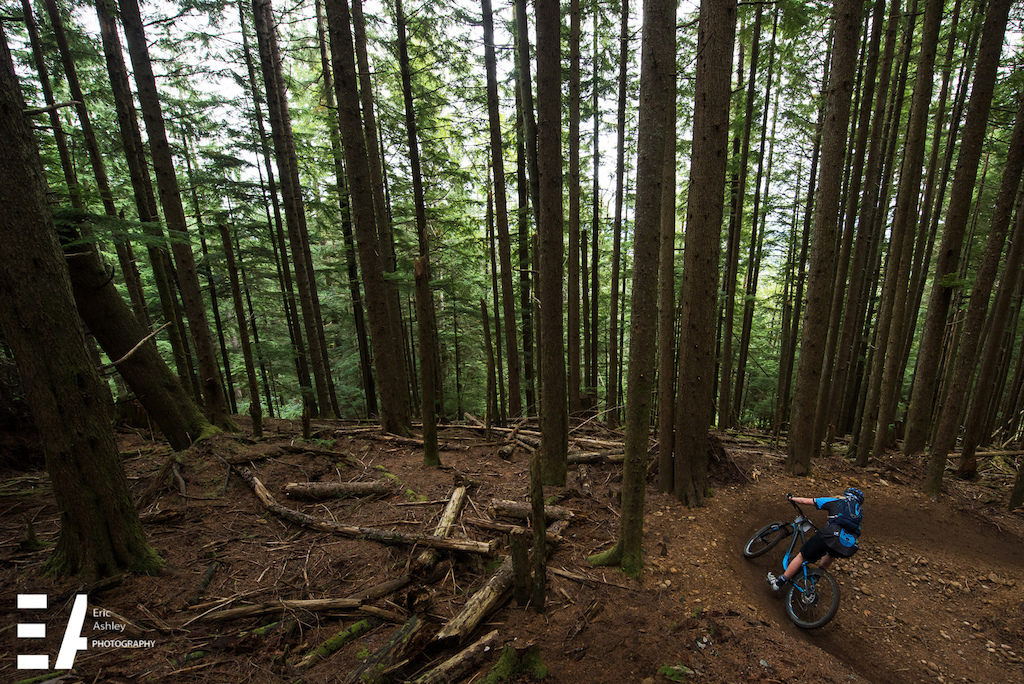 Cascadia Dirt Cup Finals 2015 Tiger Mountain Issaquah WA.
