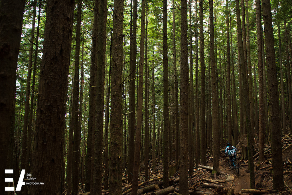 Cascadia Dirt Cup Finals 2015 Tiger Mountain Issaquah WA.
