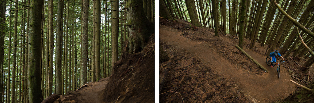 Cascadia Dirt Cup Finals 2015 Tiger Mountain Issaquah WA.