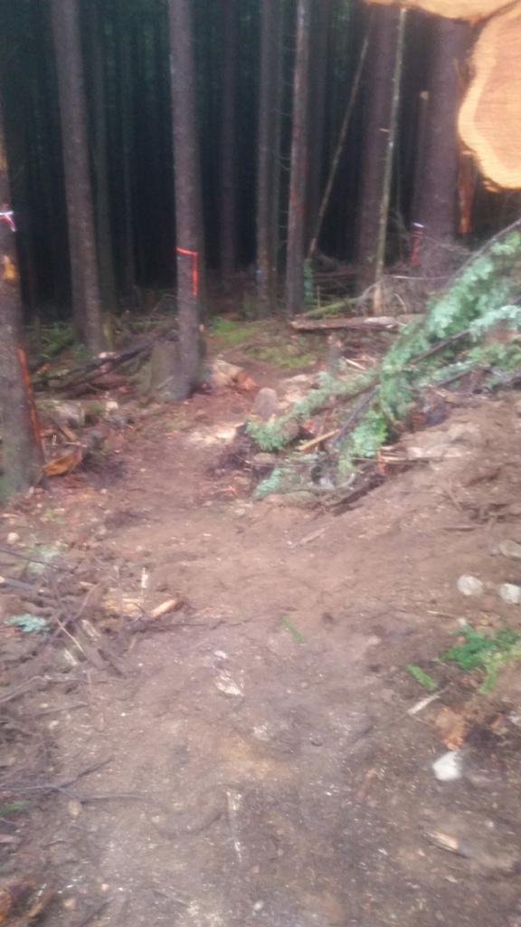 Cleared all the slash to open the trail. (After shot)