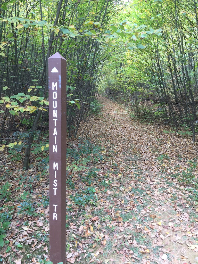 “Mountain Mist &amp; Musser Gap trails intersect - looking up Mountain Mist Trail”