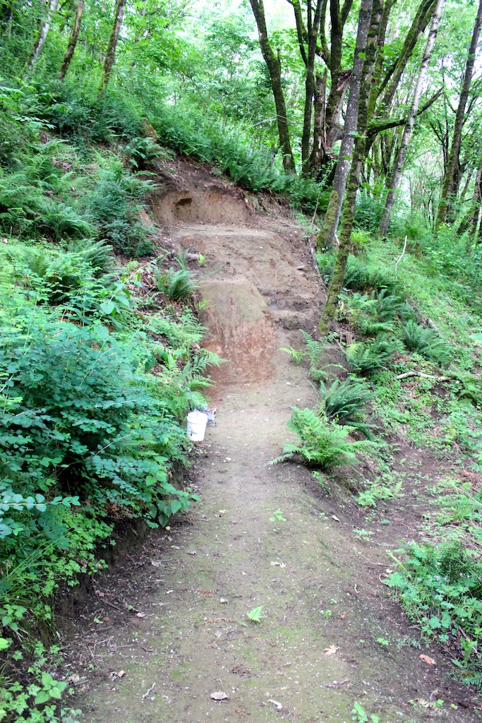 the finished Step-up, roughly 6 foot tall lip, landing is about 3 feet taller than lip