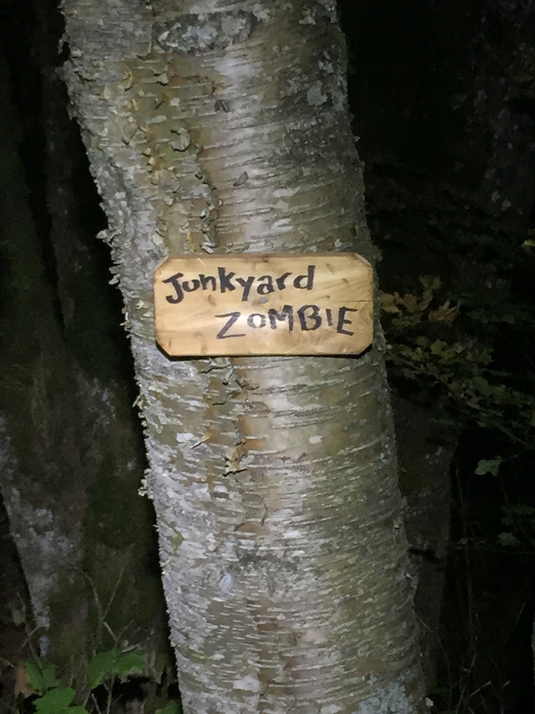 Junkyard Zombie