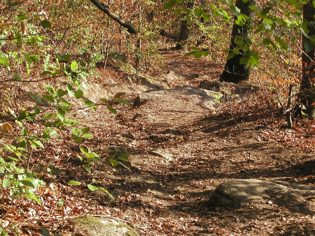 Stockefels Trail
