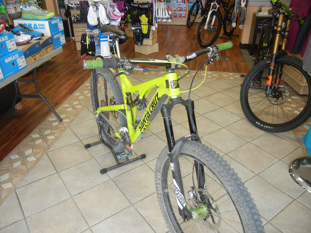 2014 Bronson