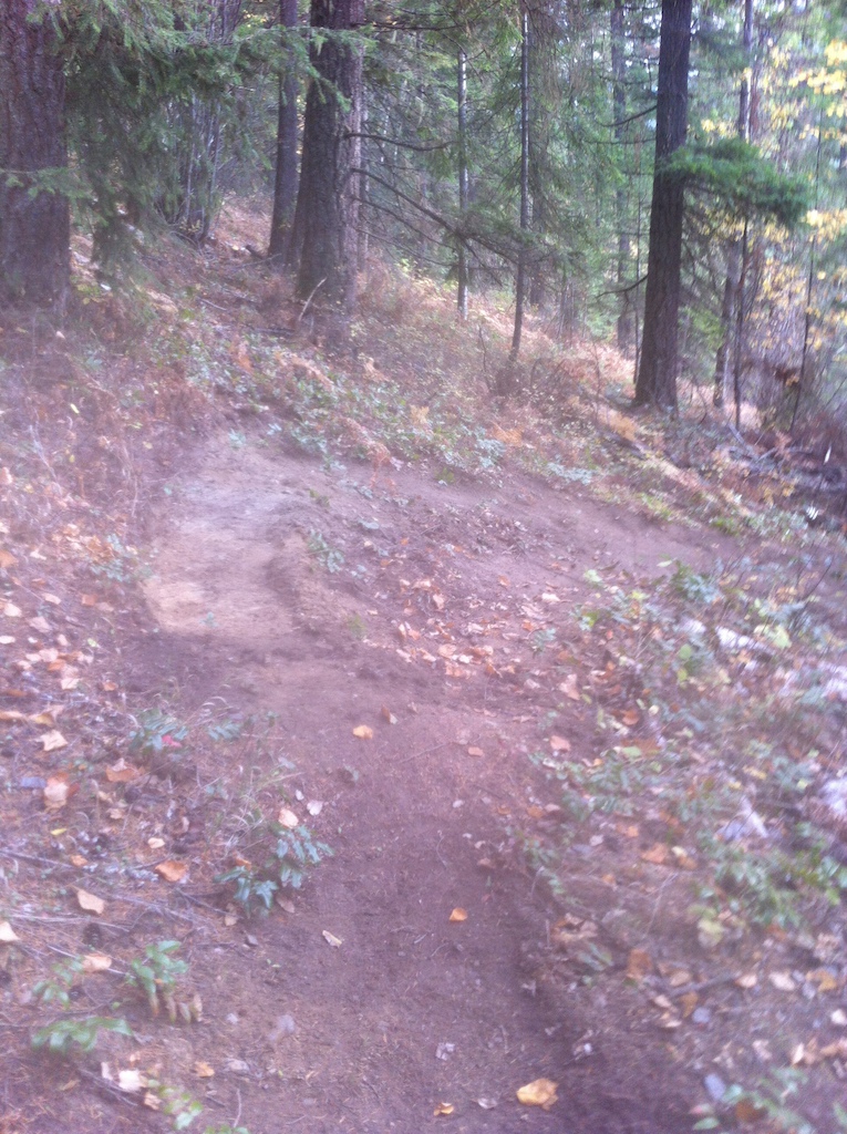 Trail work on lower part of Droptimus Prime
