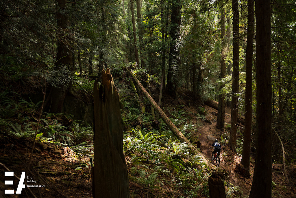2015 Enduro Of Subdued Excitement at Larrabee State Park.