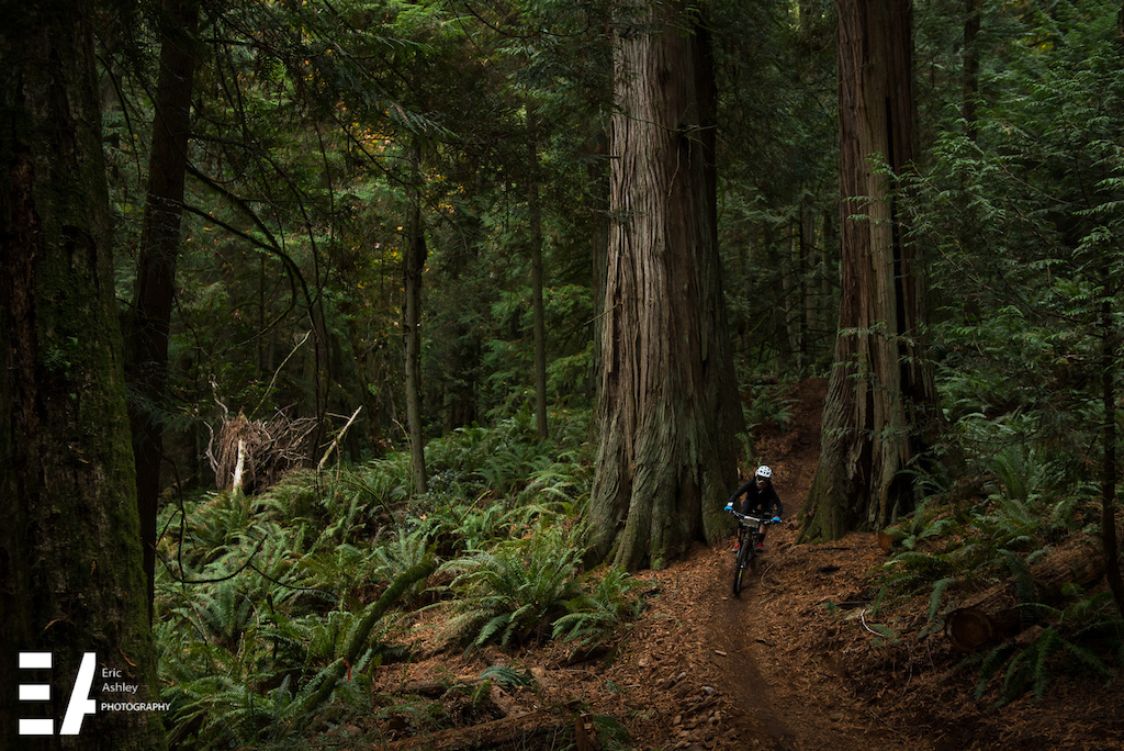 2015 Enduro Of Subdued Excitement at Larrabee State Park.