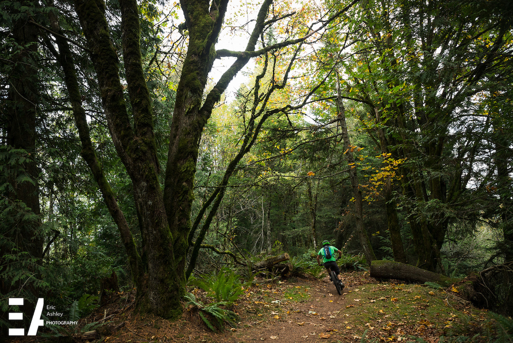 2015 Enduro Of Subdued Excitement at Larrabee State Park.