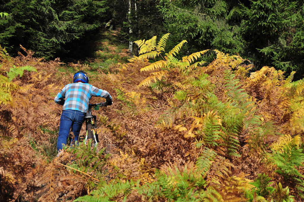 Freeride session, new discovered track around the bikepark