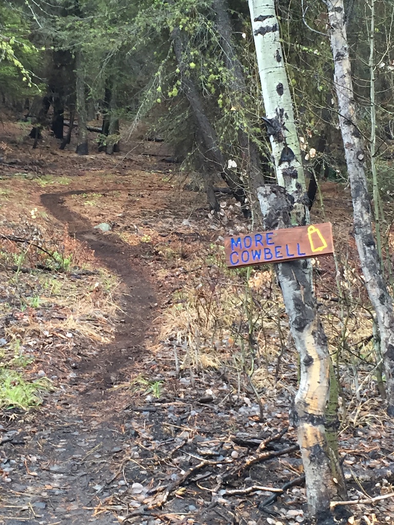 2015 Trail signs-can custom make for you/local trails