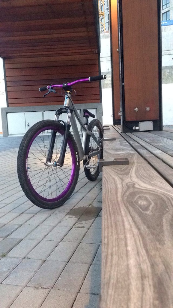 2010 Custom devinci district ss