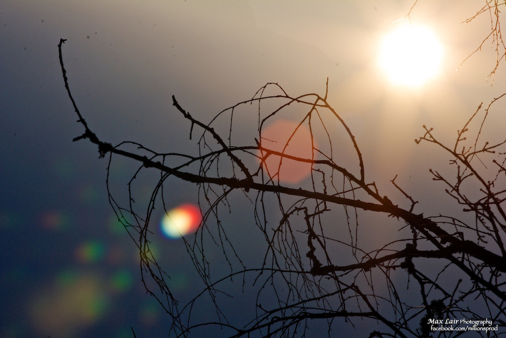 The moment when the sun pierces through the morning fog and brightens your day.