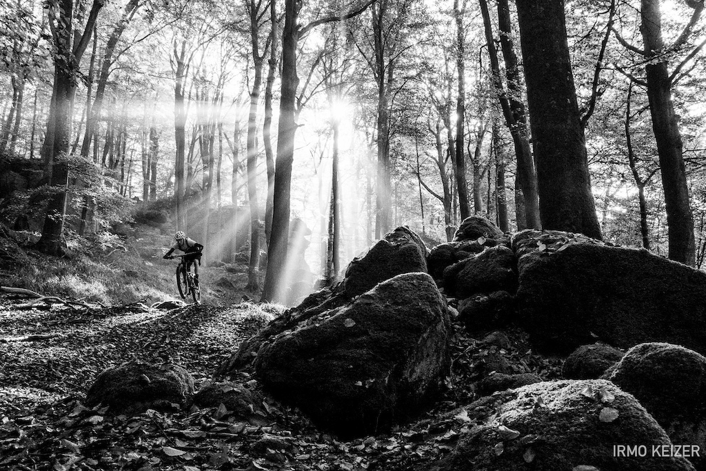 Mullerthal, Luxembourg. Awesome trails, amazing light.