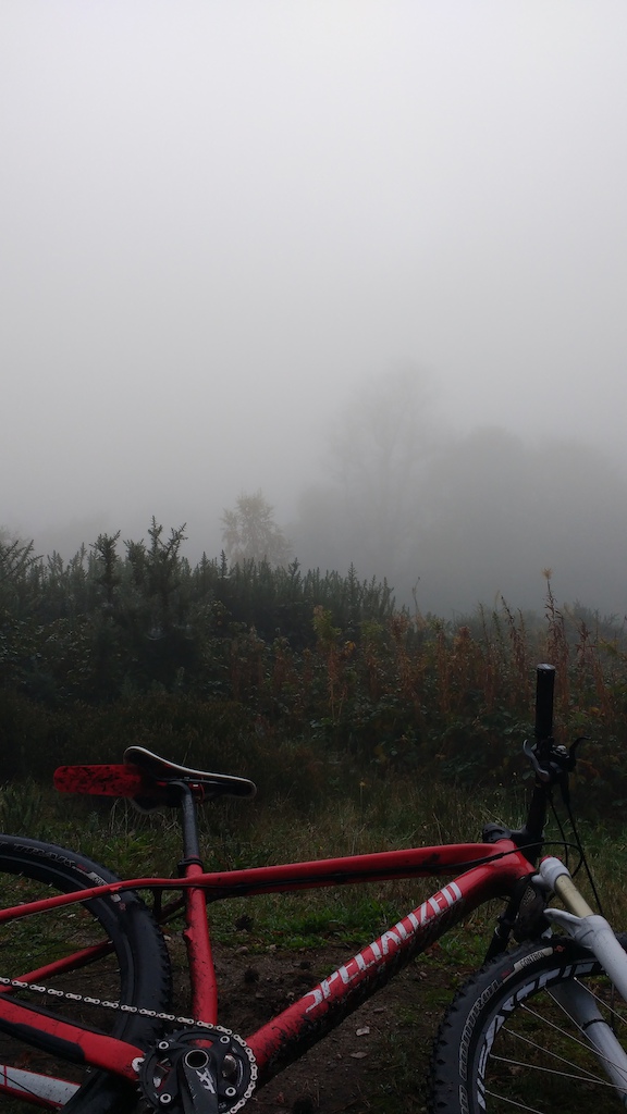 foggy fog - more like pea soup

great start to the day, riding through soupy fog