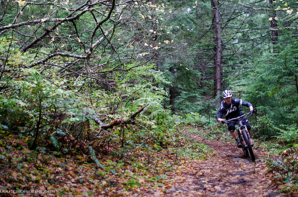 Todd pinned through over the loam and leaves.